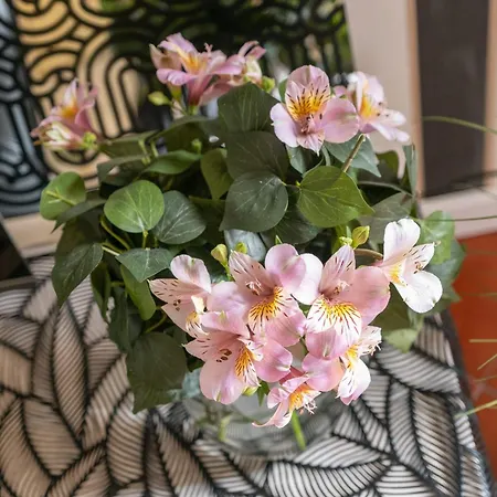 Square Appartement Iseo